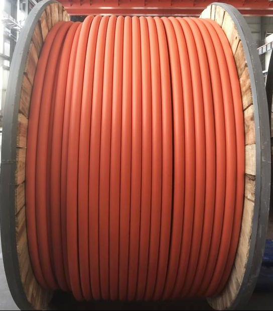 QQ截圖20240222165830.png QQ截圖20240222165830.png