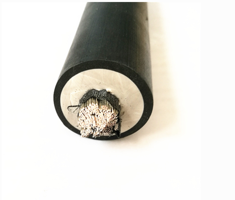 9fb165ae-3ac2-46e2-b508-753b8c77697f